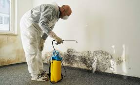 Best Residential Mold Inspection & Testing  in Siler City, NC